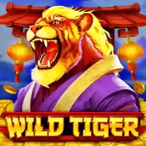 Play Wild Tiger slot by BGAMING on betico-canada.com